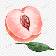 WWW,se223·COM网站APPAPP应用