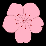 91喷浆APPAPP应用
